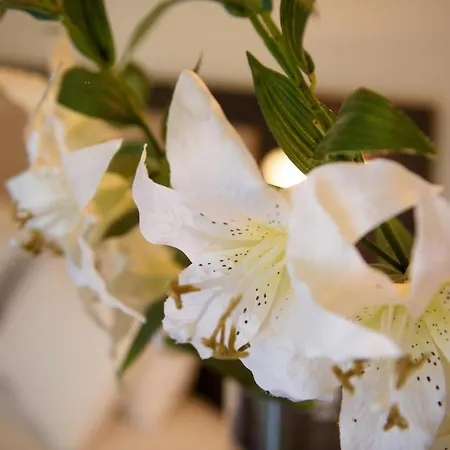 Amalia Corfu - Adults Only Hotel 3*