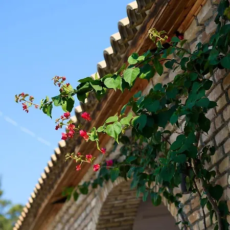 Amalia Corfu - Adults Only Hotel 3*