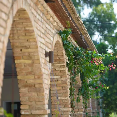 Amalia Corfu - Adults Only Kato Korakiana